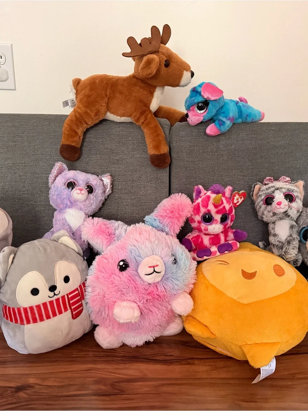 Assorted Stuffed Animals - Soft Plush Kids Toys